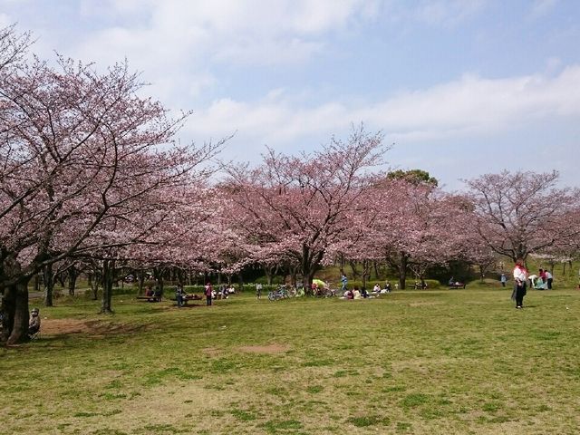 ԌLłB̍炢ĂĂƂĂꂢłB_t̐X