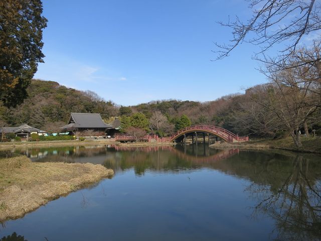 �̖���_�̖����뉀