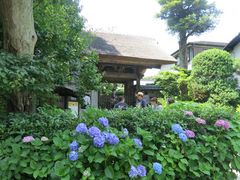 アンソニーさんの極楽寺（神奈川県鎌倉市）の投稿写真1