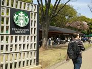 �܂߂��낤����̃X�^�[�o�b�N�X �R�[�q�[ ��쉶�������X�̓��e�ʐ^1