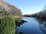 bunamâؒrΒn̓eʐ^1