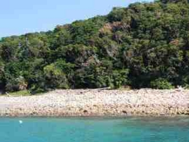 ANZ[JC̔PMѐAQ̓eʐ^1