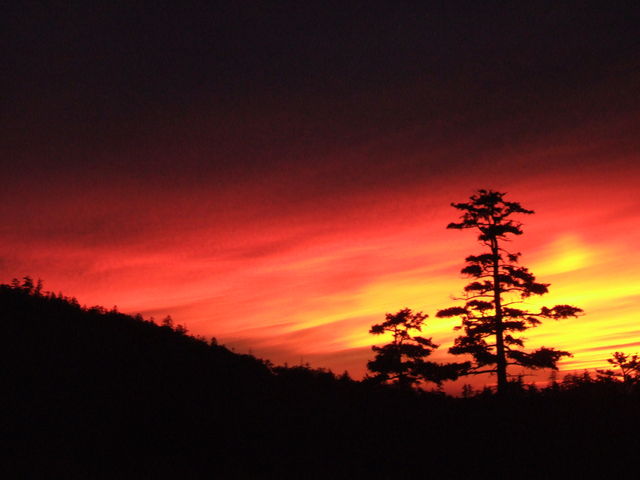 �\���x���򂩂�̍g�t_�\���x����