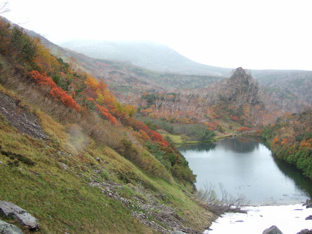 �g�t�̍�����_��ፂ�����Q