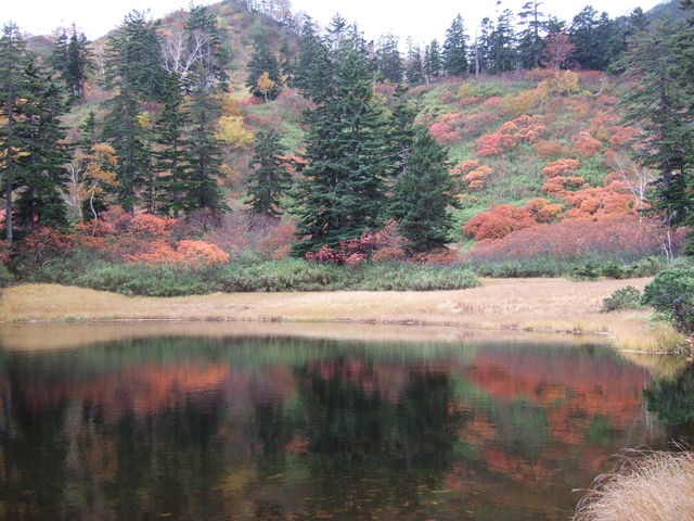 �Ώ��̍g�t_��ፂ�����Q