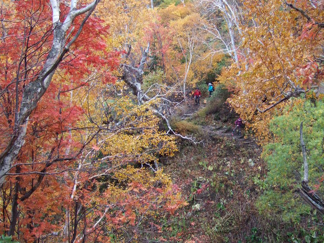 �����Ă����A�����x��̍g�t_��ፂ��