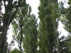 WbL[̖k|v؂ւ̓eʐ^1