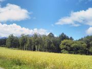 usåJĉ΂̉Ԃ̓eʐ^1