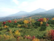 񂾂ꂳ̏\x]x̓eʐ^1