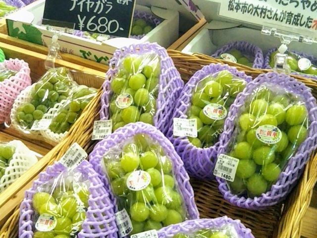 新鮮なぶどう_道の駅 小坂田公園