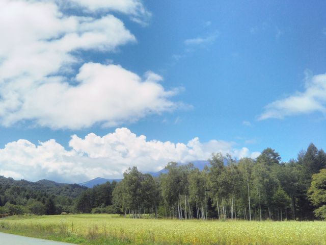 HappẙJĉ΂̉Ԃ̓eʐ^1