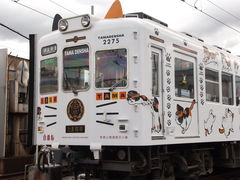 [񂳂̘a̎Rdcւ̓eʐ^1