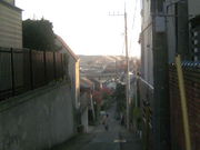 ӂ񂳂̟Q򉀂̓eʐ^2