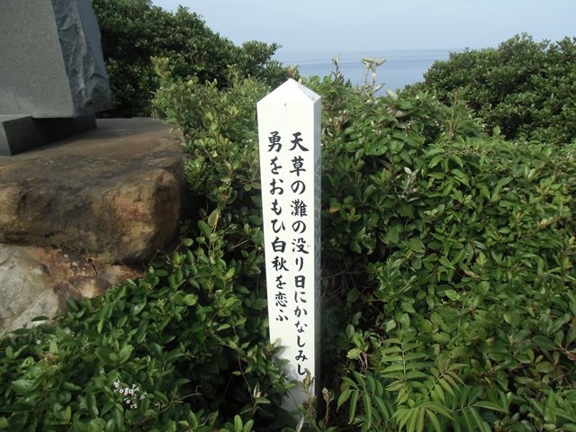 ��ҁH_�ܑ��̌C���w�V����