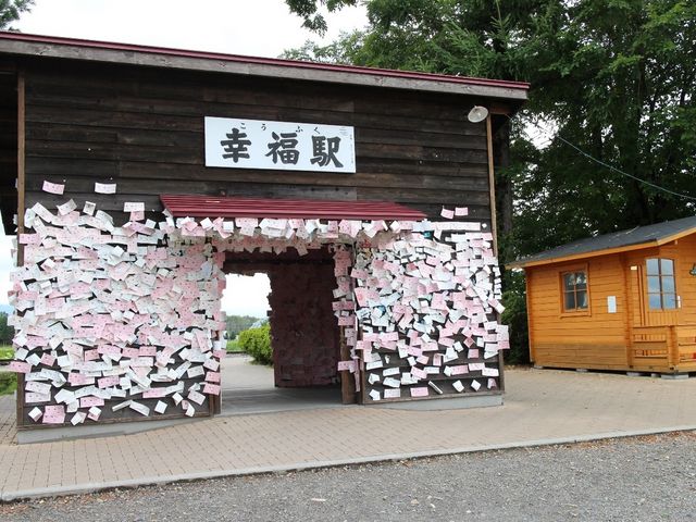 �w��_�K���w�i�K���S�������j