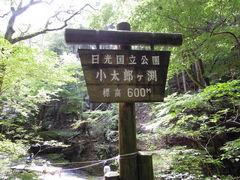 �}�T�m������̏����Y���������ւ̓��e�ʐ^1