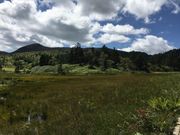 rabi̖FPRx{т̓eʐ^2