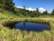 rabi̖FPRx{т̓eʐ^3