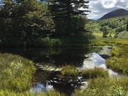 rabi̖FPRx{т̓eʐ^4