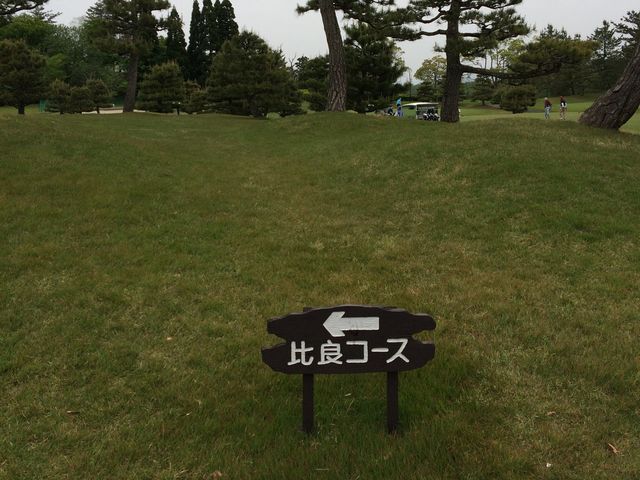 �����S���t��y��_�����S���t��y��