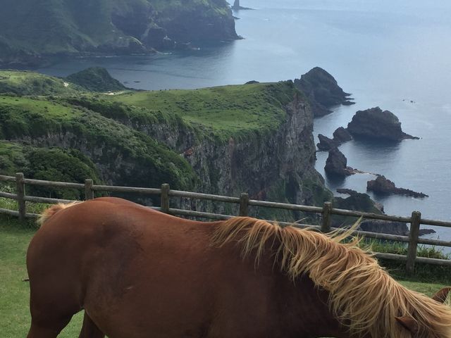 �n�������̂�т葐��H��_�B�򍑉�C��