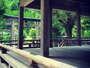 ���傱����̖k�R�{�̓��e�ʐ^1