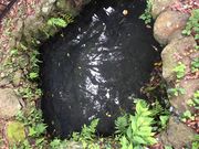 Ђ͂񂳂̌㒹HcsݏՂ̓eʐ^2