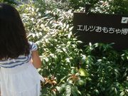 Ђ܂Ȃ񂳂̃GcᔎفEyi[[̐Xj̓eʐ^1