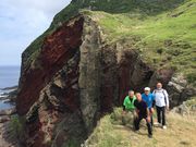 Ђ͂񂳂̒mvԕǂ̓eʐ^1