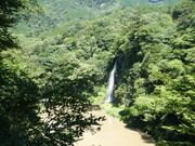 kimukimu7036̉ڂ̑̓eʐ^1