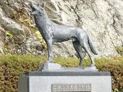 傱̃jzIIJ~̑̓eʐ^1