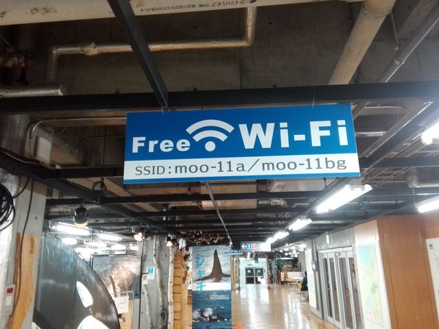 2�K�@�ό��𗬃R�[�i�[�O_���H�t�B�b�V���[�}���Y���[�tMOO�EEGG