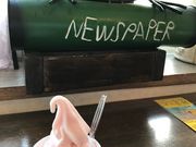 ۂ񂽂̖kCC@MCM[̓eʐ^1