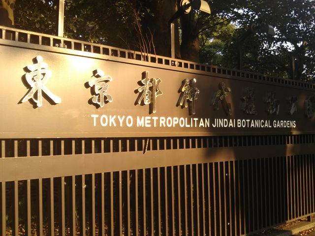 _O[T͐_A̒ɓƂ܂B__O[T