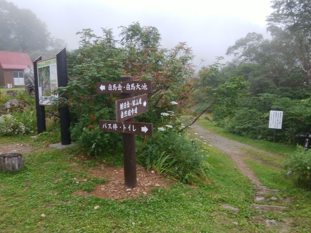 �o�R��������܂�_�@�؉���L�����v��