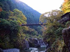 鳩ノ巣渓谷探索｜文京ちるだ