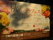 cJ擙X͂̏Zl̓s_A~܂̓eʐ^2