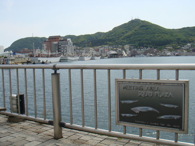 �C�J�L�ꂩ�猩��C�J�ނ�D_�����ނ苙