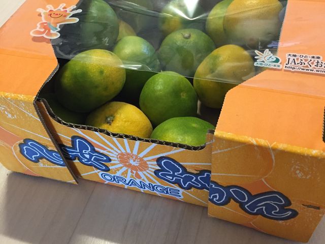 RXgRŔ݂_RXgR t[hR[g ԑq