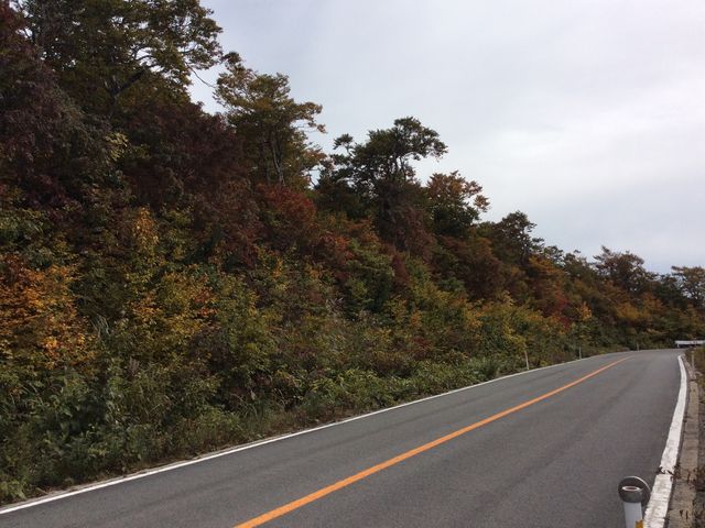 �܂��܂� �F�Â��͐󂢍g�t�ł����B_�����G�R�[���C���̍g�t