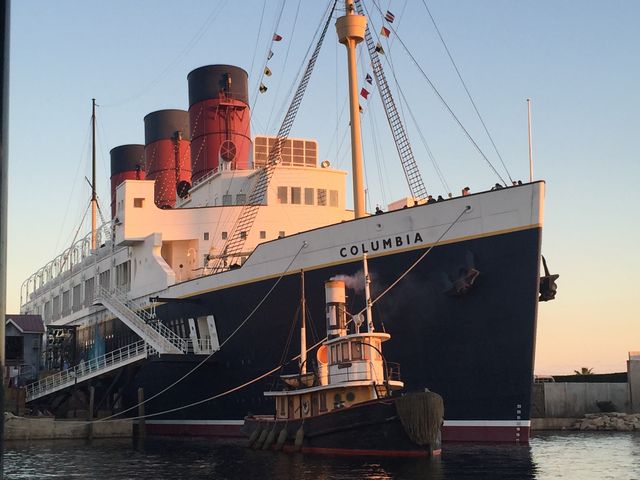 �R�����r�A��_�����f�B�Y�j�[�V�[(R)