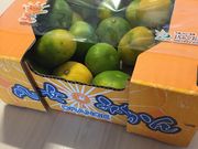 JȂ̃RXgR t[hR[g ԑqɂ̓eʐ^1