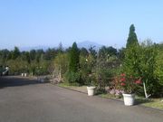 Ƃ񂳂̐_ސ쌧ԂƗ΂̂ӂꂠZ^[@ԍ؃K[f̓eʐ^2