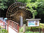 �ɂ�[����B����̊ω����Ԃł��܂邭��̓��e�ʐ^1