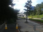 Ƃ񂳂̏ÓC݌̓eʐ^1