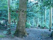 Ԃ񂽂̓y򗊒тɈꑰV̓eʐ^1