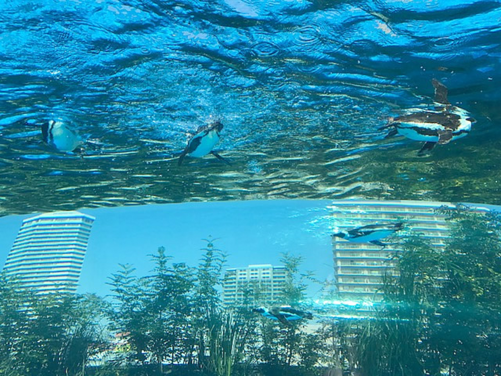 サンシャイン水族館