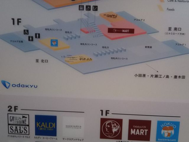 ^[YR[q[c}}VFVSPuX̓z[̐^ゾ֗B_^[YR[q[c}}VFVSPuX