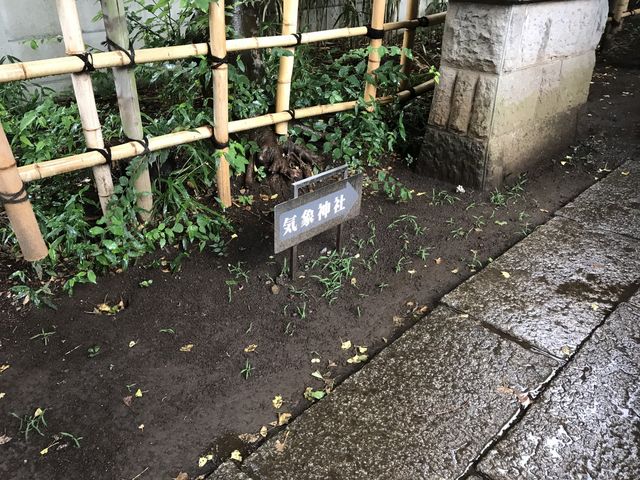 �ʐ^_�C�ې_��