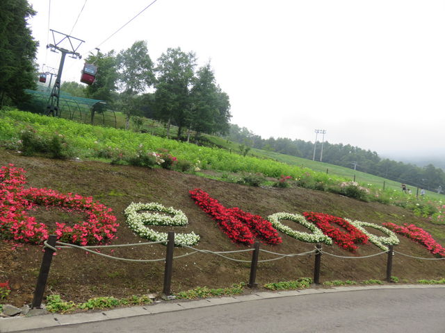 �V���n�͂�����񂻂̑��ɂ��y���߂邱�Ƃ���������ł����B_���X�c���]�[�g